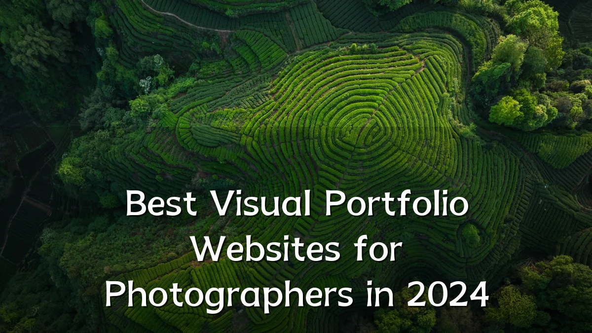 Best Visual Portfolio Websites for Photographers in 2024