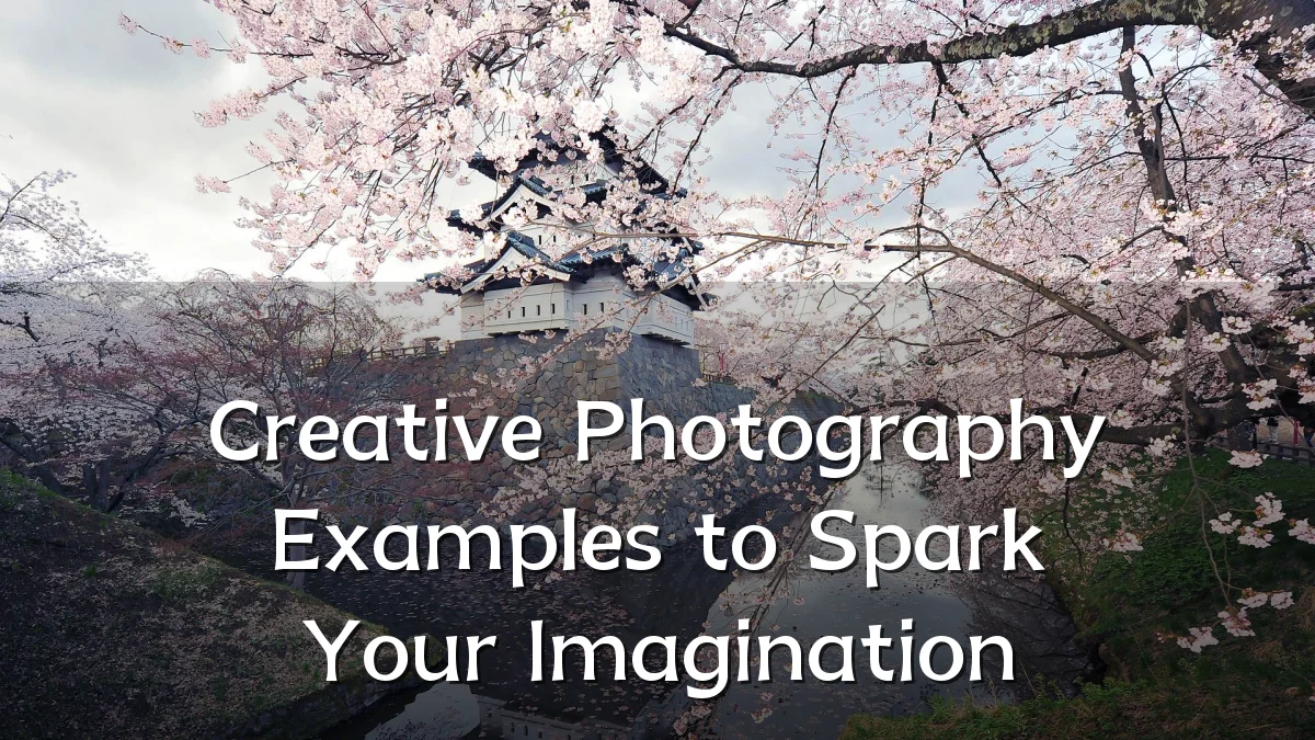 Creative Photography Examples to Spark Your Imagination