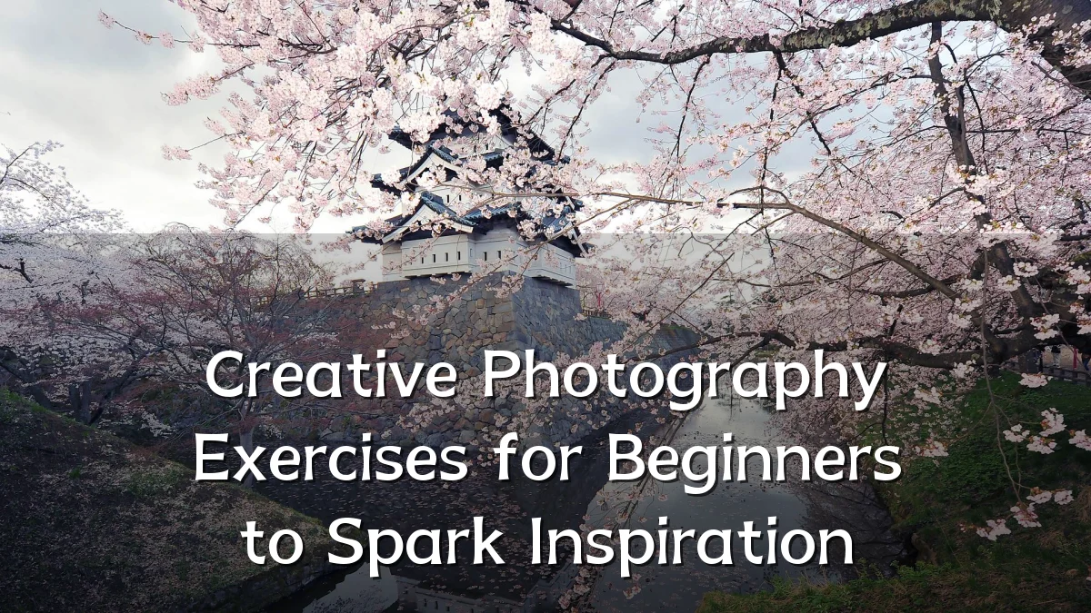 Creative Photography Exercises for Beginners to Spark Inspiration