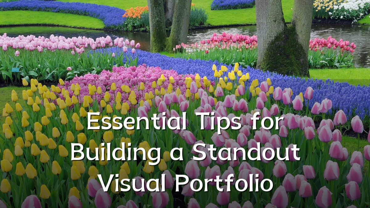 Essential Tips for Building a Standout Visual Portfolio