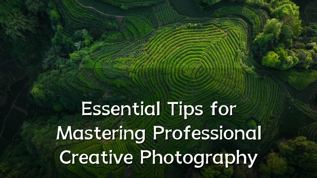 Essential Tips for Mastering Professional Creative Photography
