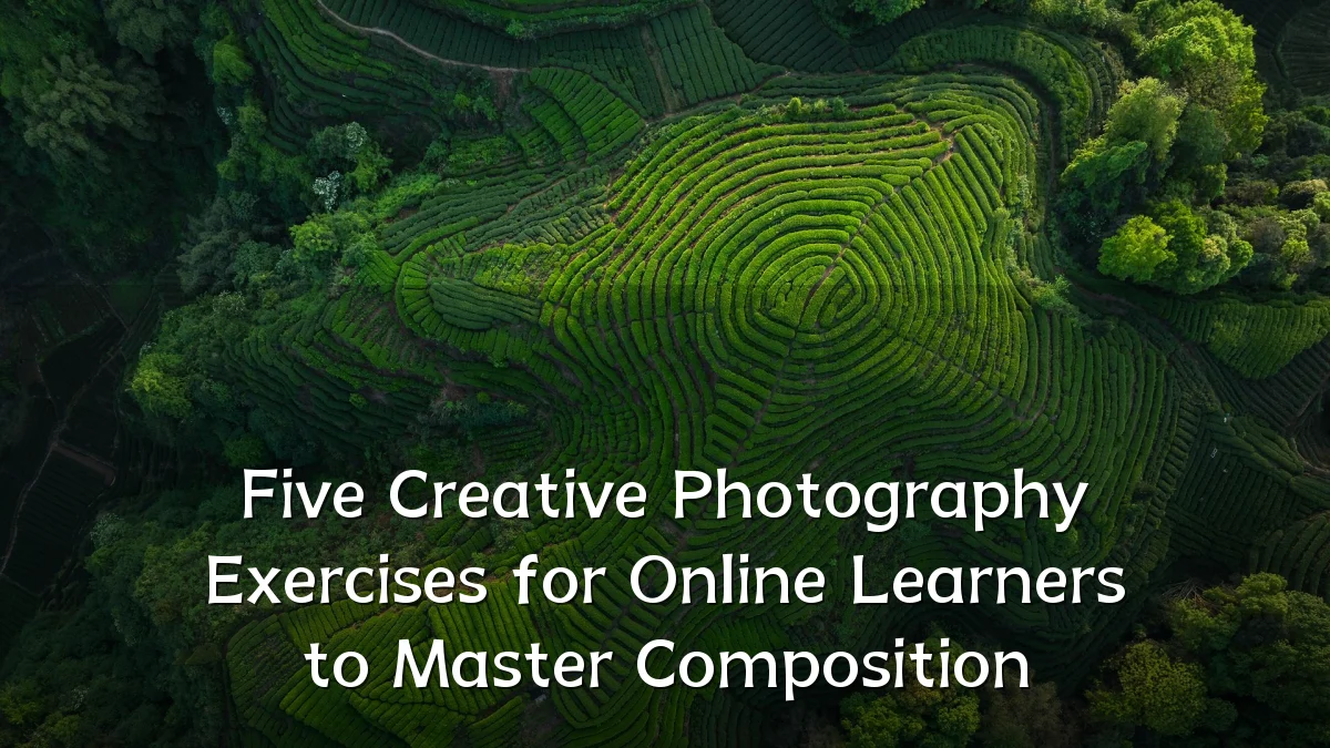 Five Creative Photography Exercises for Online Learners to Master Composition