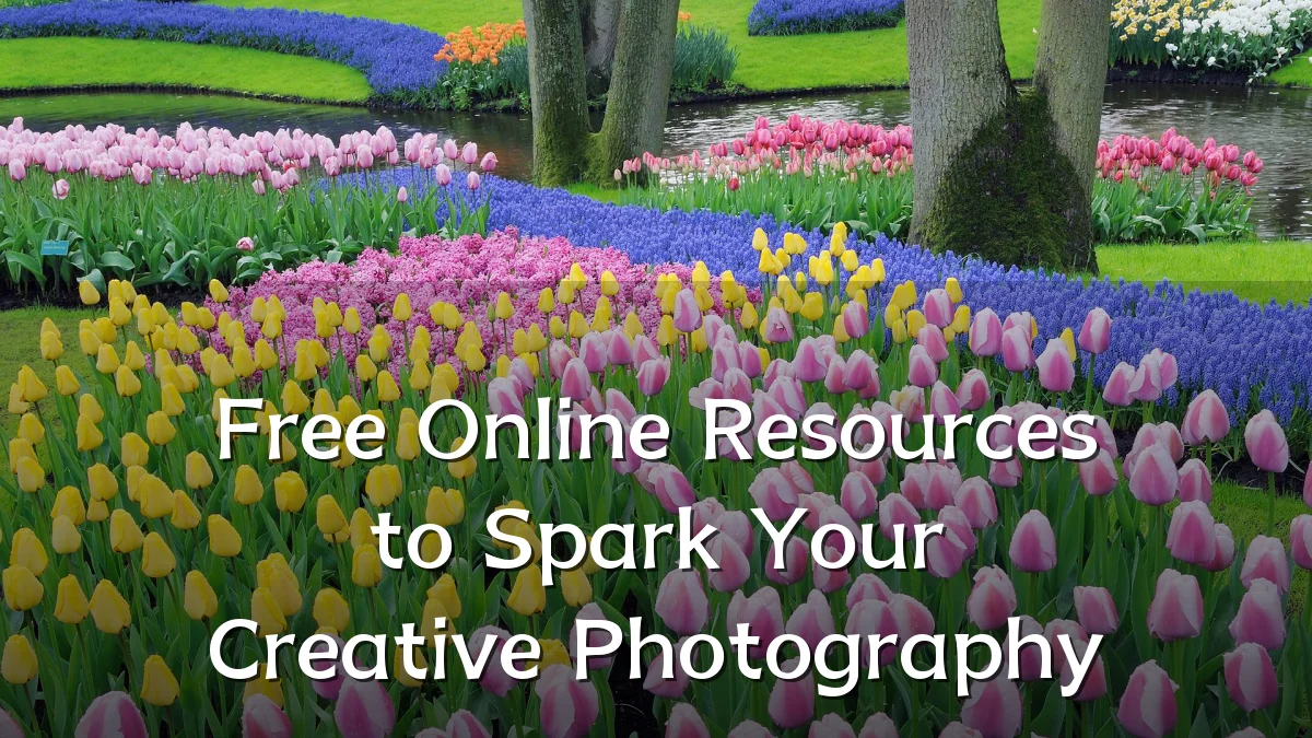 Free Online Resources to Spark Your Creative Photography