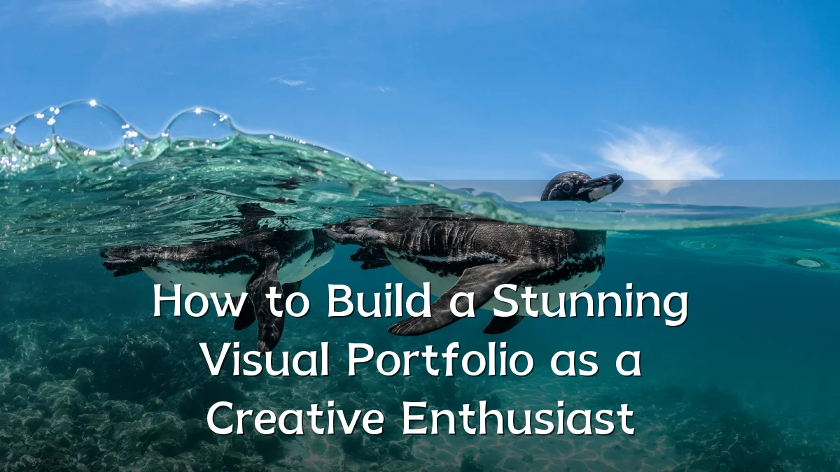 How to Build a Stunning Visual Portfolio as a Creative Enthusiast