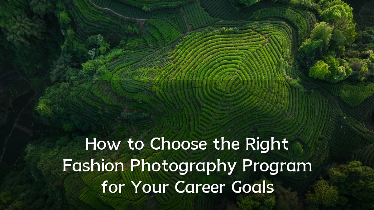 How to Choose the Right Fashion Photography Program for Your Career Goals