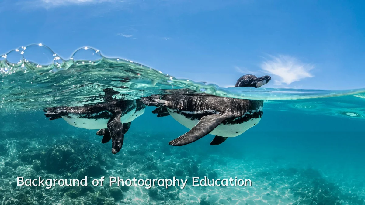 Background of Photography Education