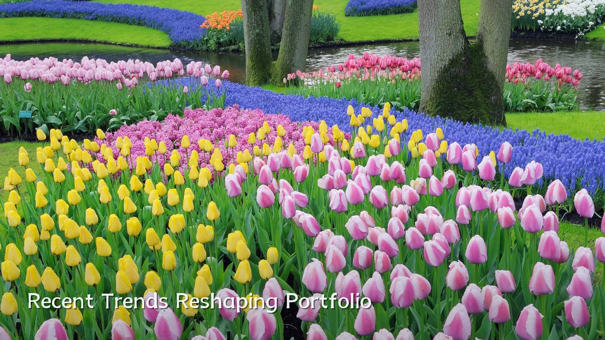Recent Trends Reshaping Portfolio