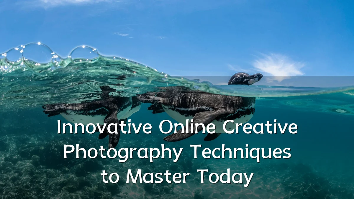 Innovative Online Creative Photography Techniques to Master Today