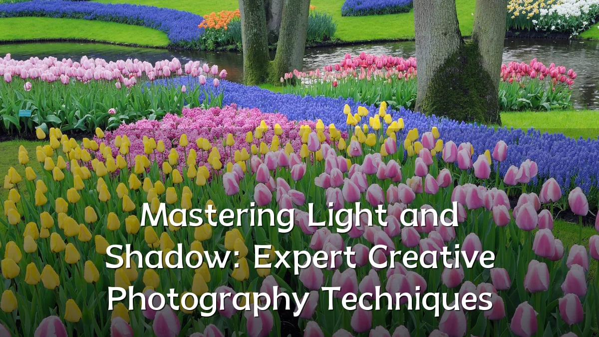 Mastering Light and Shadow: Expert Creative Photography Techniques
