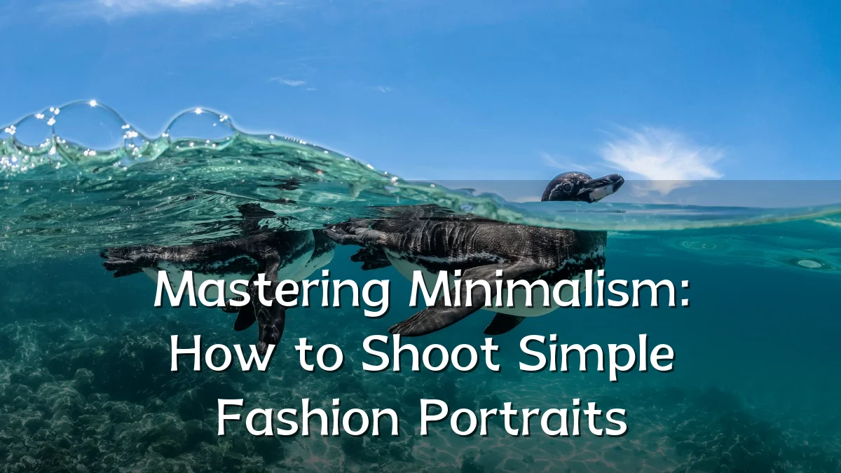 Mastering Minimalism: How to Shoot Simple Fashion Portraits
