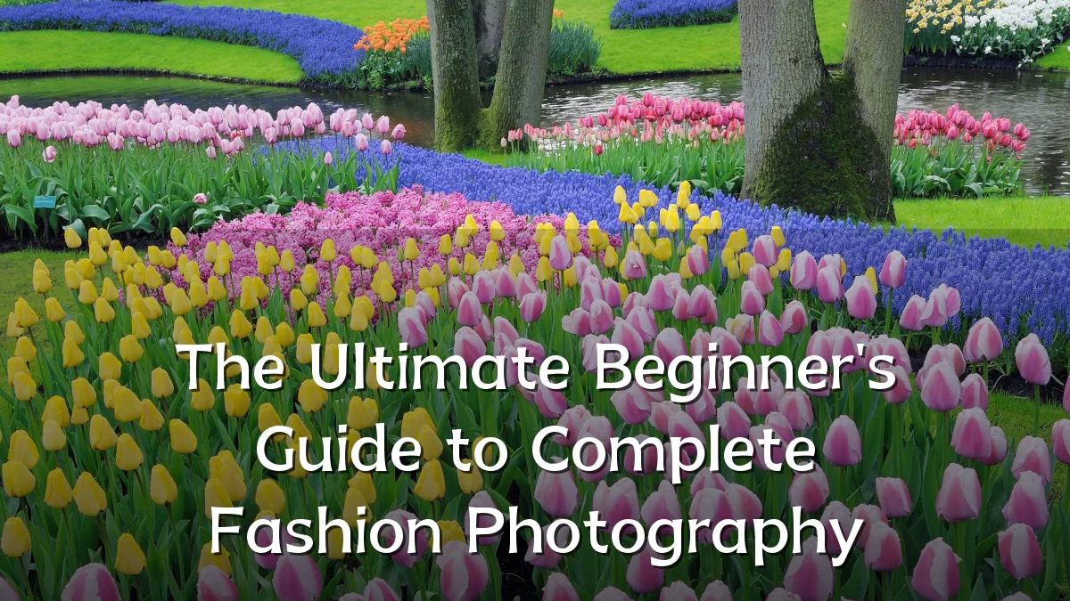 The Ultimate Beginner's Guide to Complete Fashion Photography