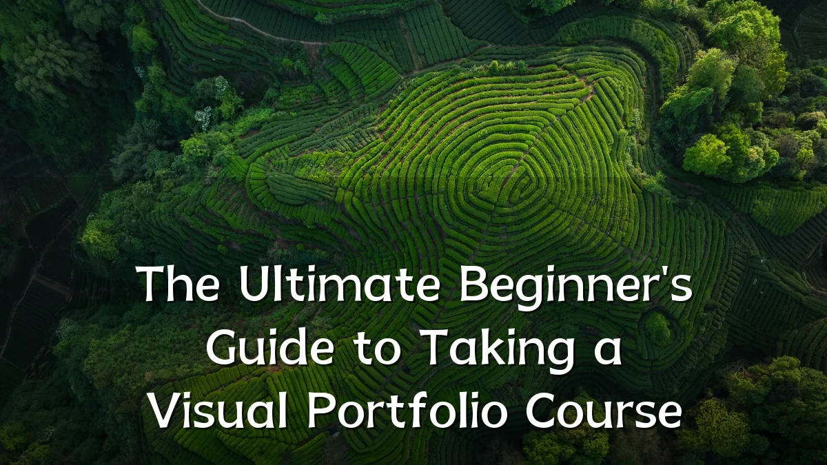 The Ultimate Beginner's Guide to Taking a Visual Portfolio Course