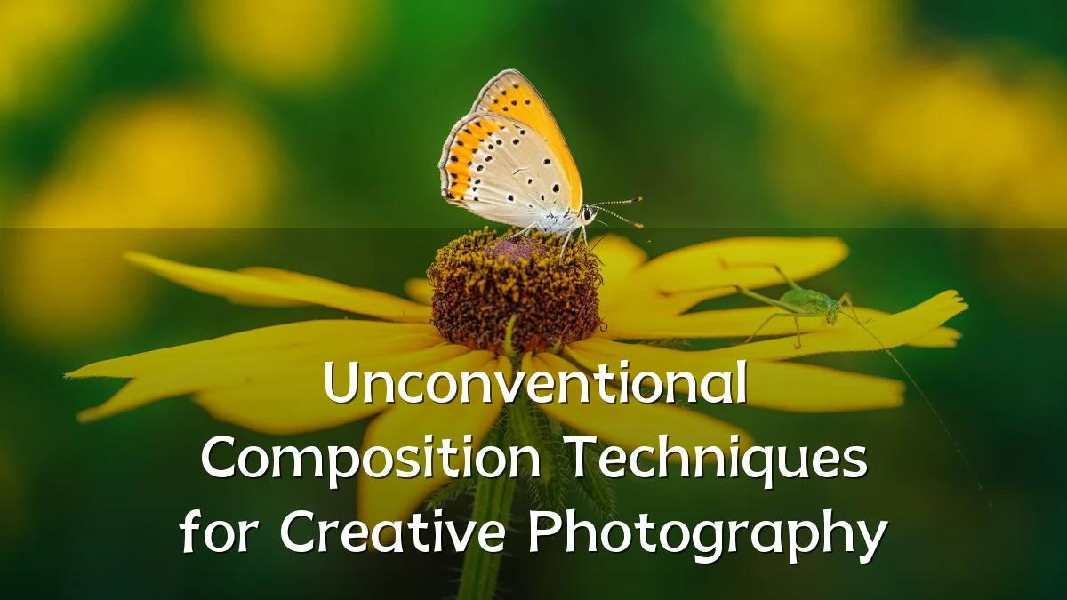 Unconventional Composition Techniques for Creative Photography
