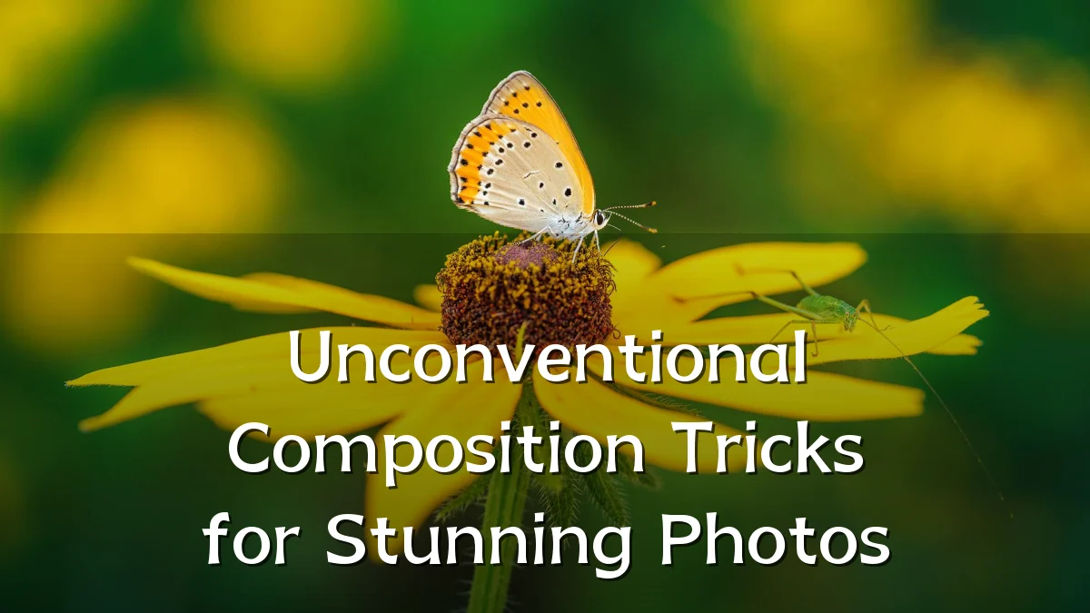 Unconventional Composition Tricks for Stunning Photos