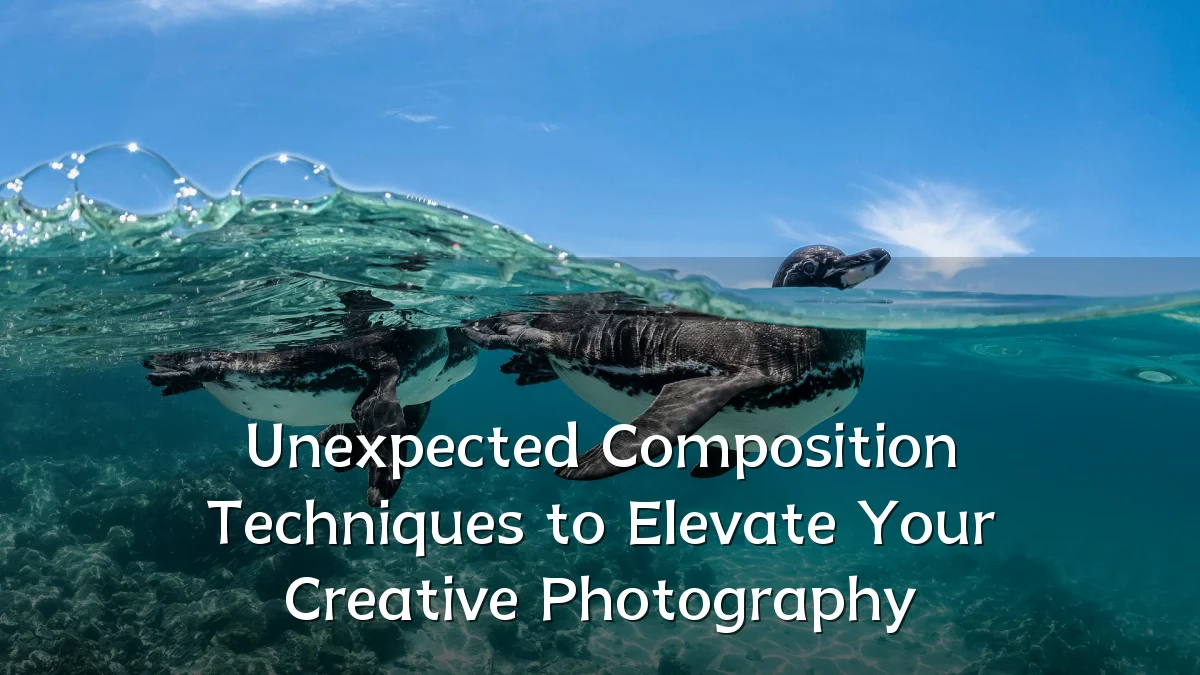 Unexpected Composition Techniques to Elevate Your Creative Photography