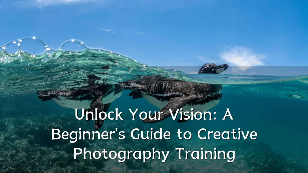 Unlock Your Vision: A Beginner's Guide to Creative Photography Training