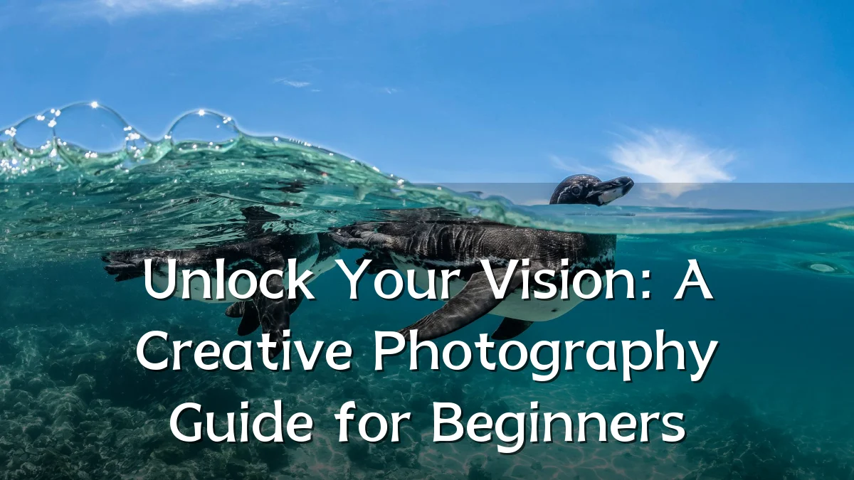 Unlock Your Vision: A Creative Photography Guide for Beginners