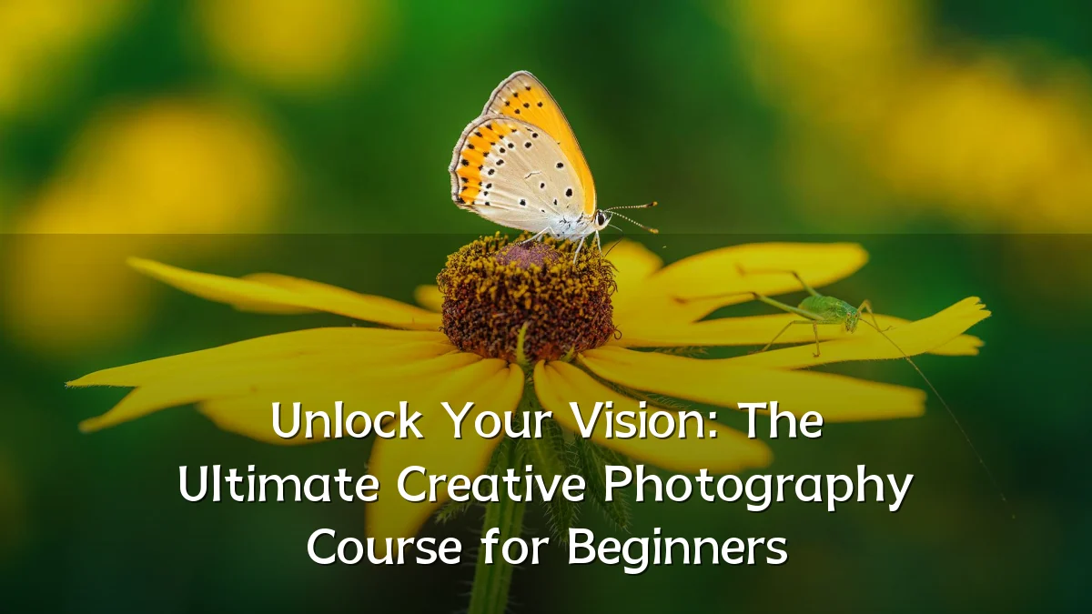 Unlock Your Vision: The Ultimate Creative Photography Course for Beginners
