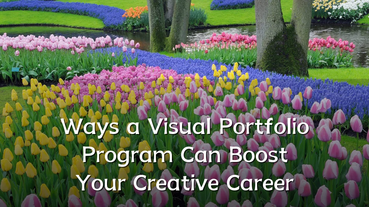Ways a Visual Portfolio Program Can Boost Your Creative Career