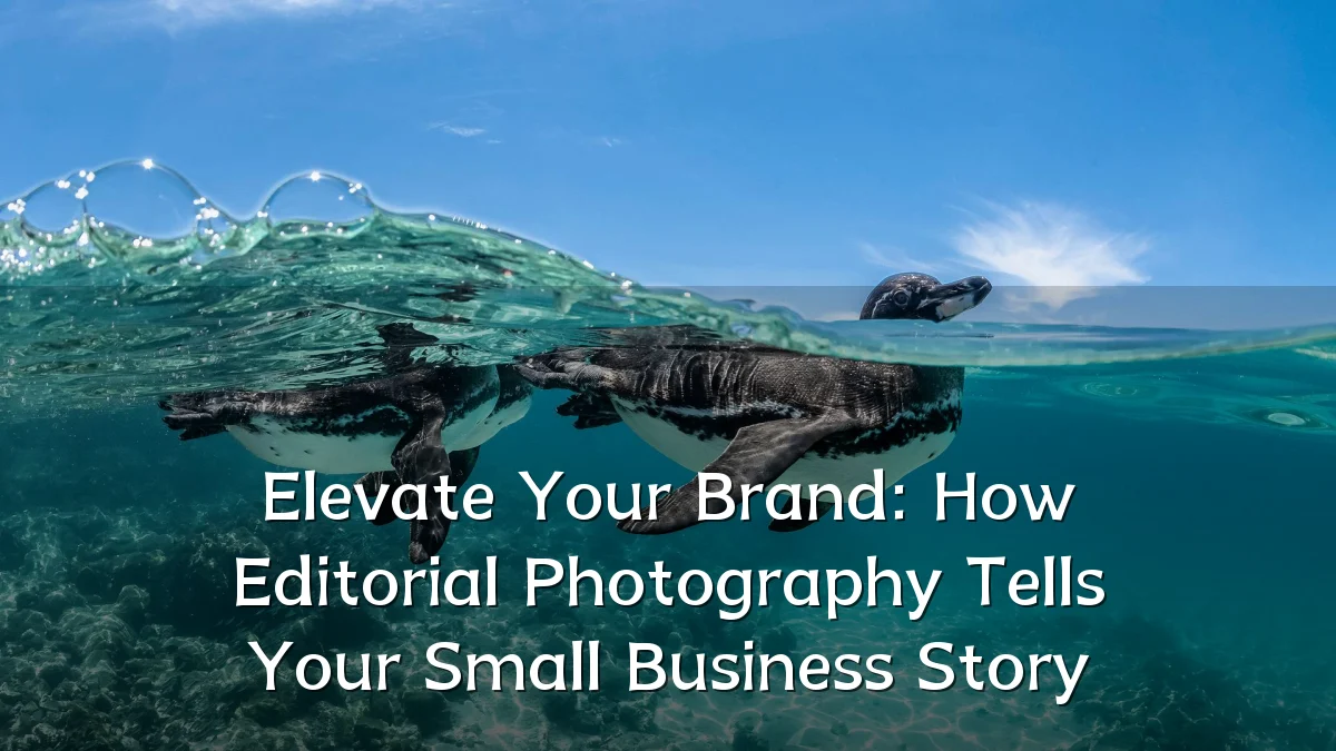 Elevate Your Brand: How Editorial Photography Tells Your Small Business Story