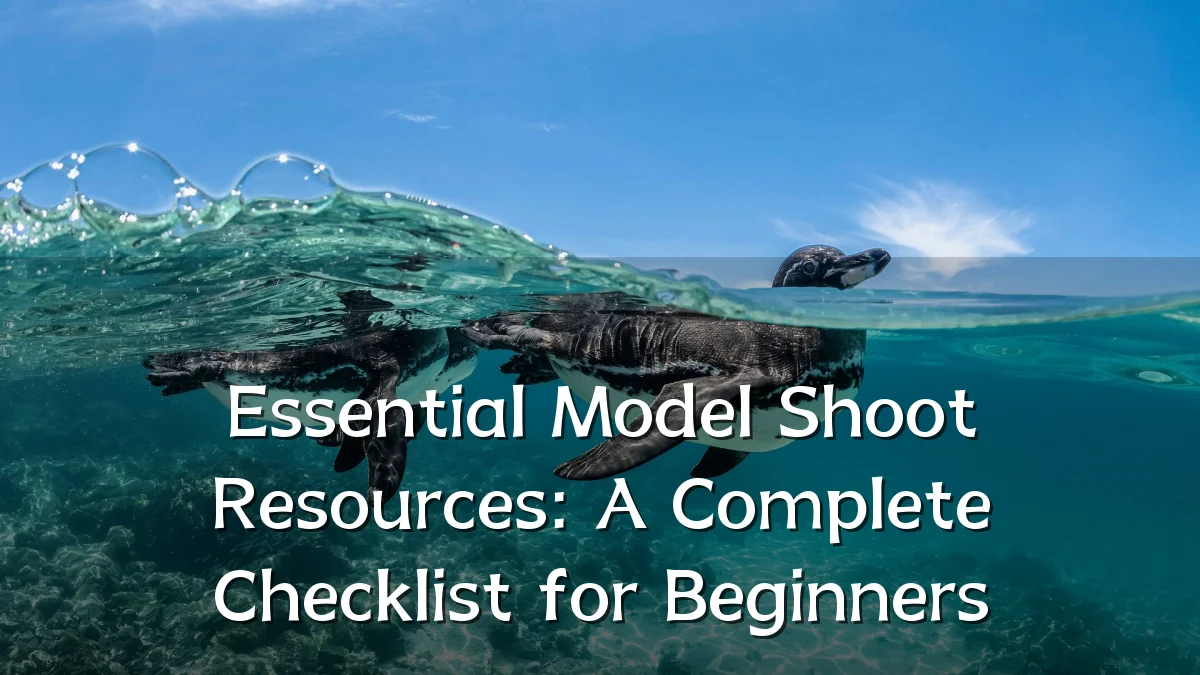 Essential Model Shoot Resources: A Complete Checklist for Beginners