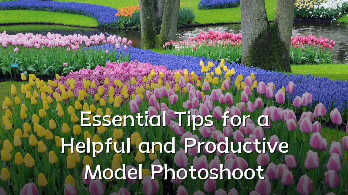 Essential Tips for a Helpful and Productive Model Photoshoot