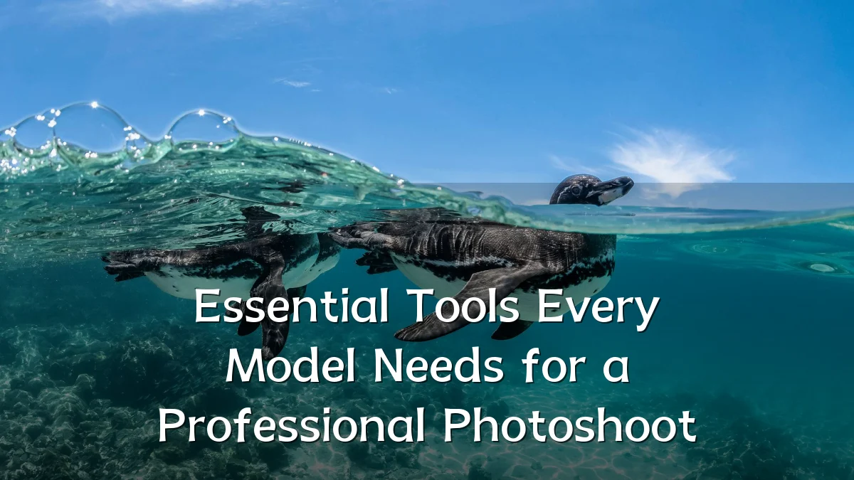 Essential Tools Every Model Needs for a Professional Photoshoot