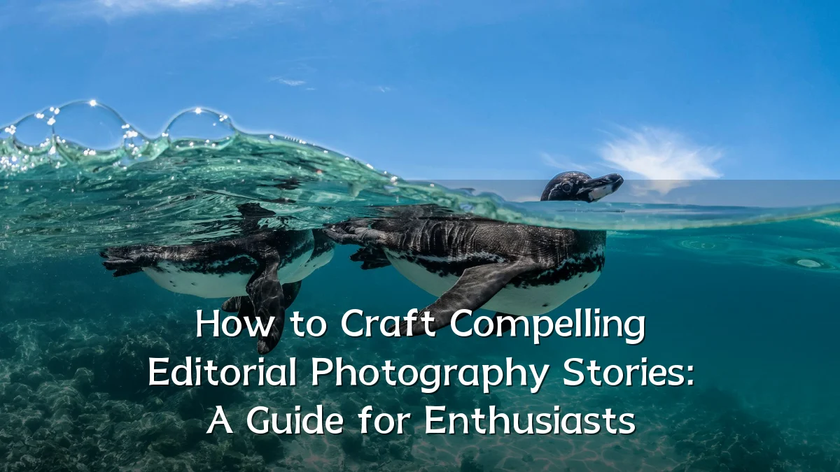 How to Craft Compelling Editorial Photography Stories: A Guide for Enthusiasts