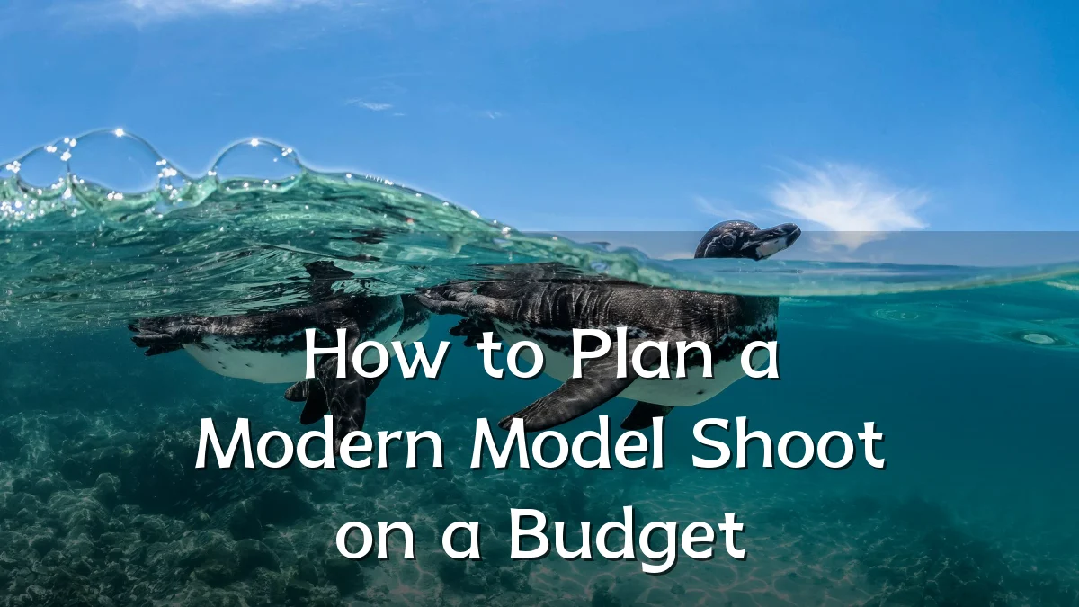 How to Plan a Modern Model Shoot on a Budget