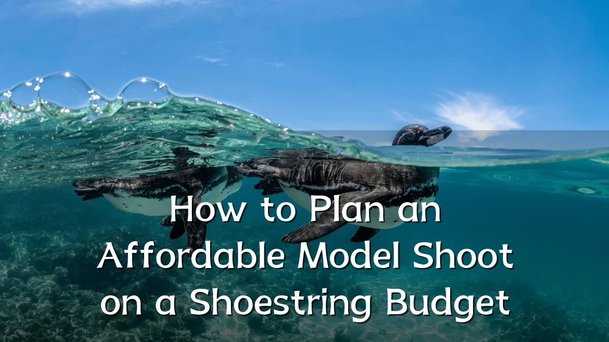 How to Plan an Affordable Model Shoot on a Shoestring Budget