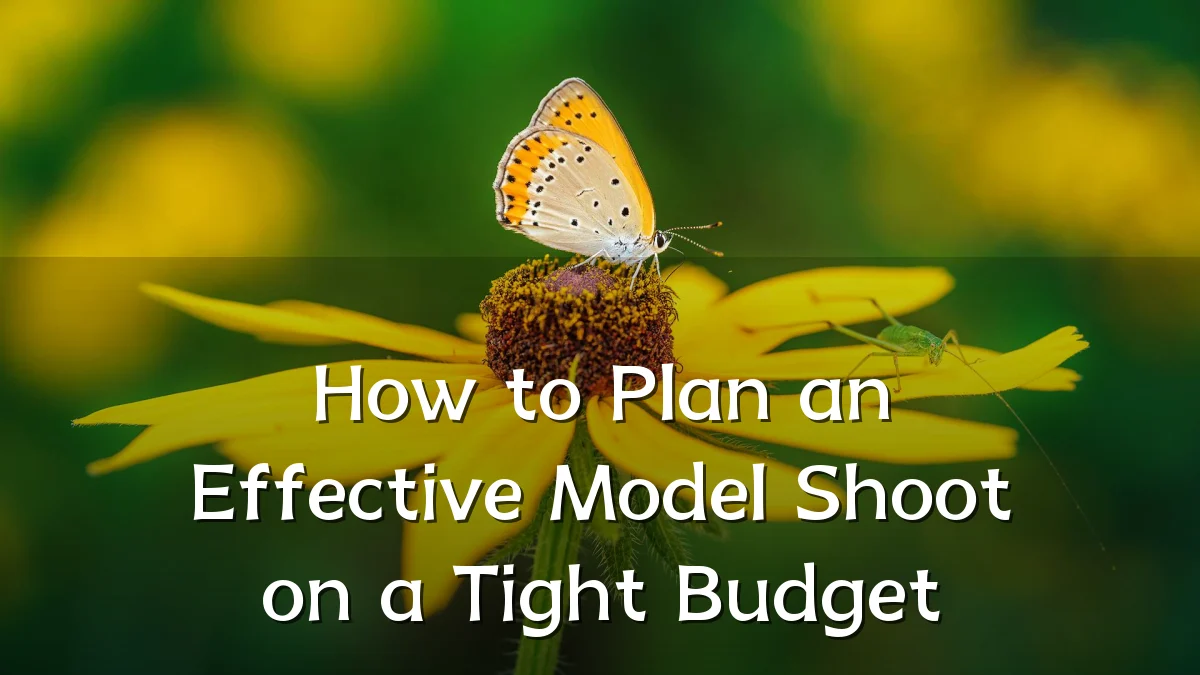 How to Plan an Effective Model Shoot on a Tight Budget