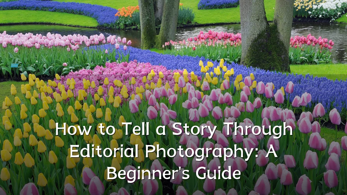 How to Tell a Story Through Editorial Photography: A Beginner's Guide