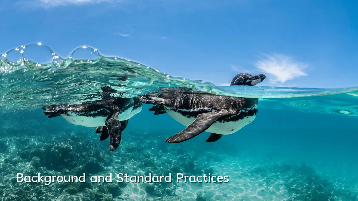 Background and Standard Practices