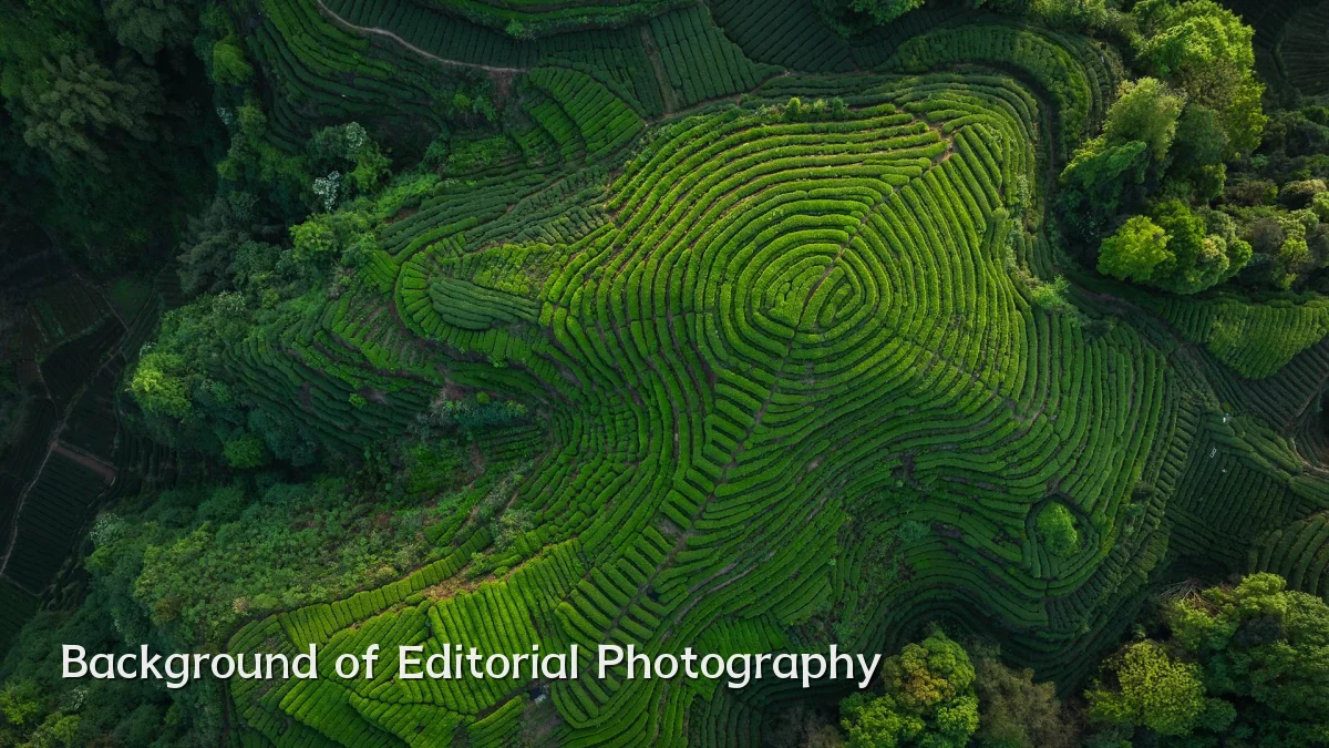Background of Editorial Photography