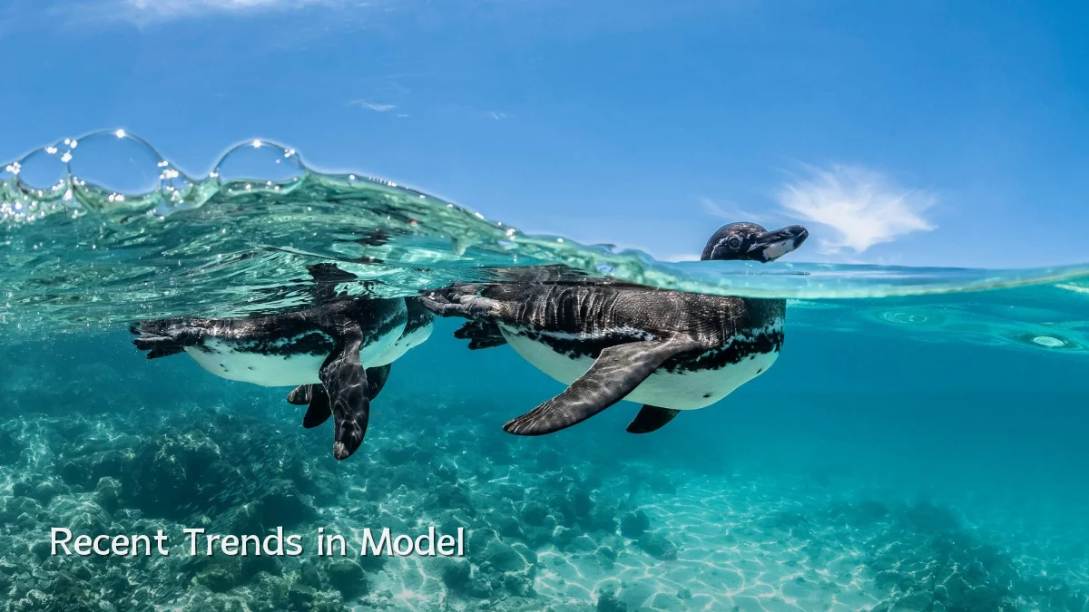 Recent Trends in Model