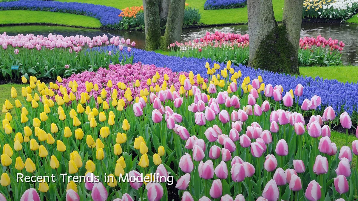 Recent Trends in Modelling