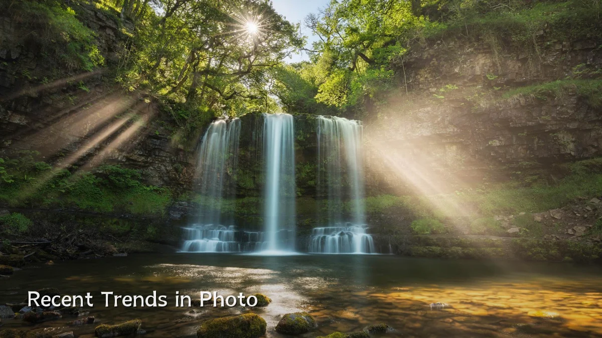 Recent Trends in Photo