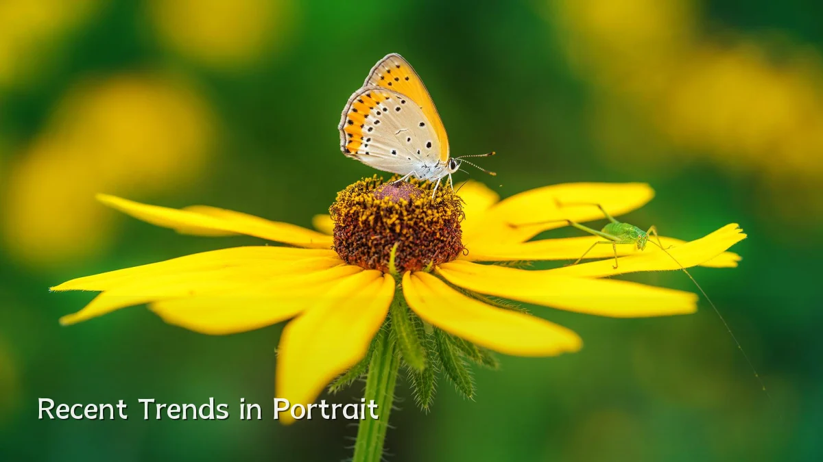 Recent Trends in Portrait