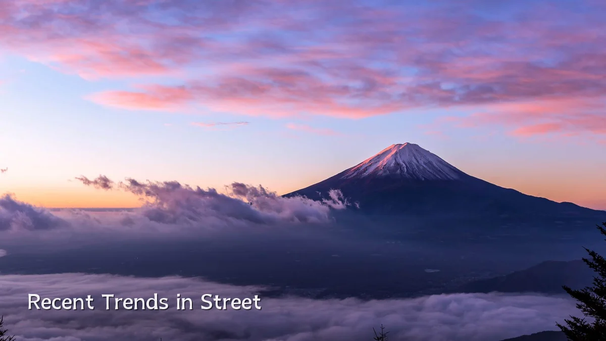 Recent Trends in Street
