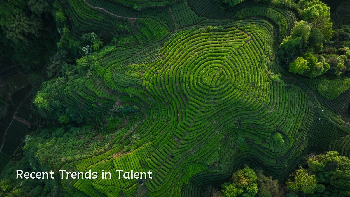 Recent Trends in Talent