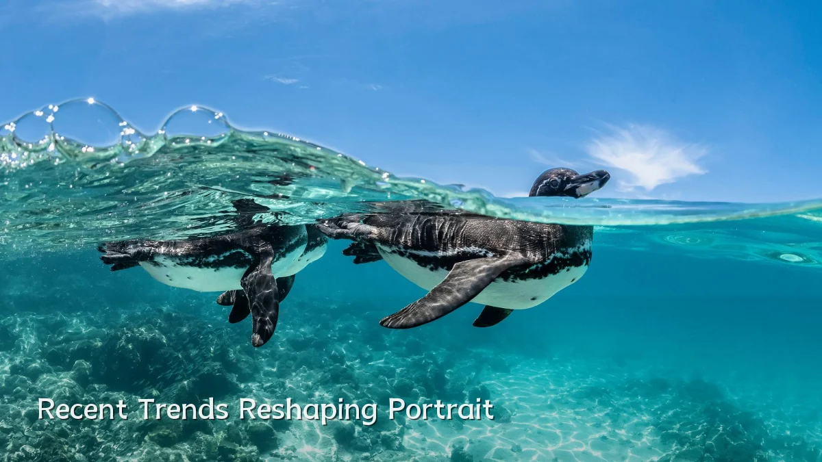 Recent Trends Reshaping Portrait