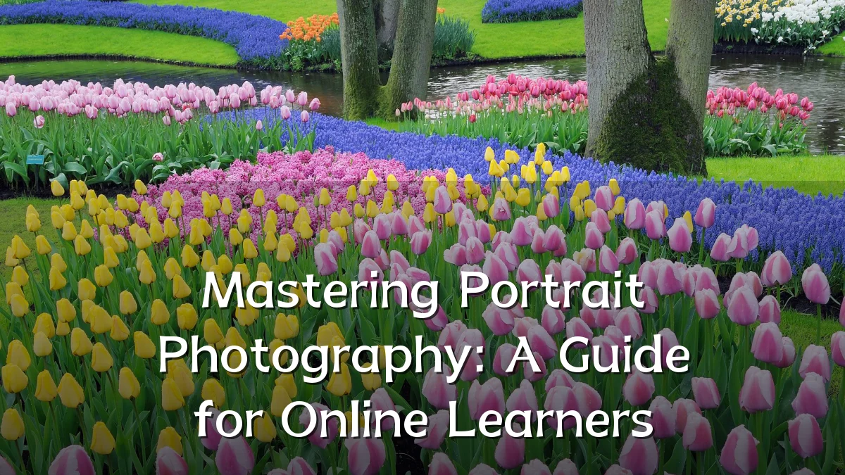 Mastering Portrait Photography: A Guide for Online Learners