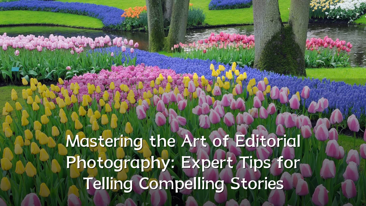 Mastering the Art of Editorial Photography: Expert Tips for Telling Compelling Stories