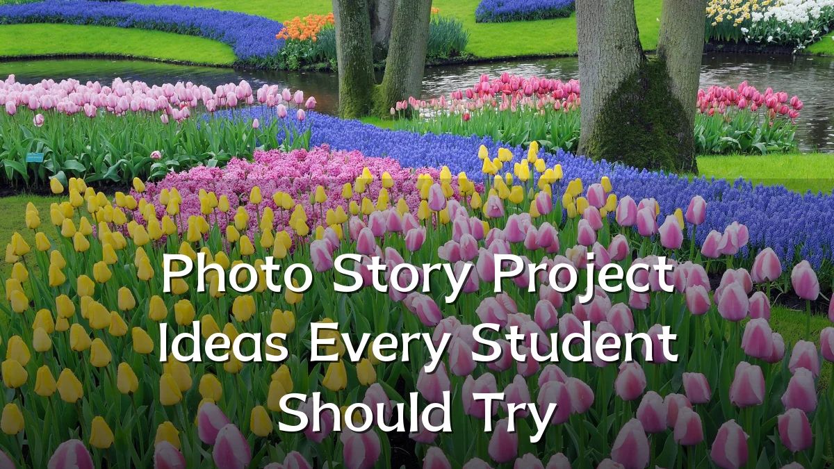 Photo Story Project Ideas Every Student Should Try