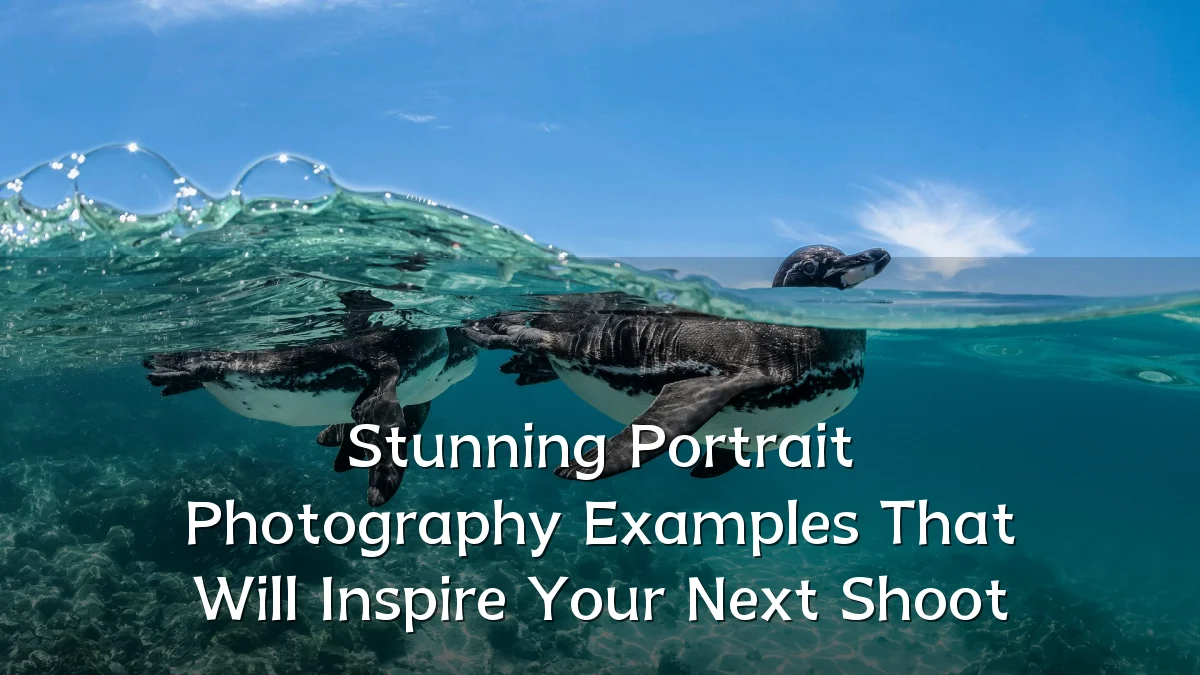 Stunning Portrait Photography Examples That Will Inspire Your Next Shoot