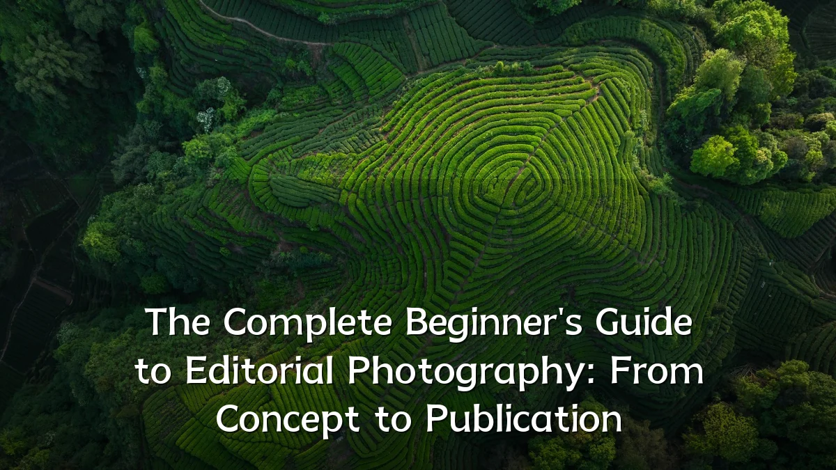 The Complete Beginner's Guide to Editorial Photography: From Concept to Publication