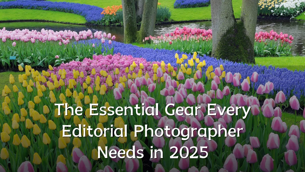 The Essential Gear Every Editorial Photographer Needs in 2025