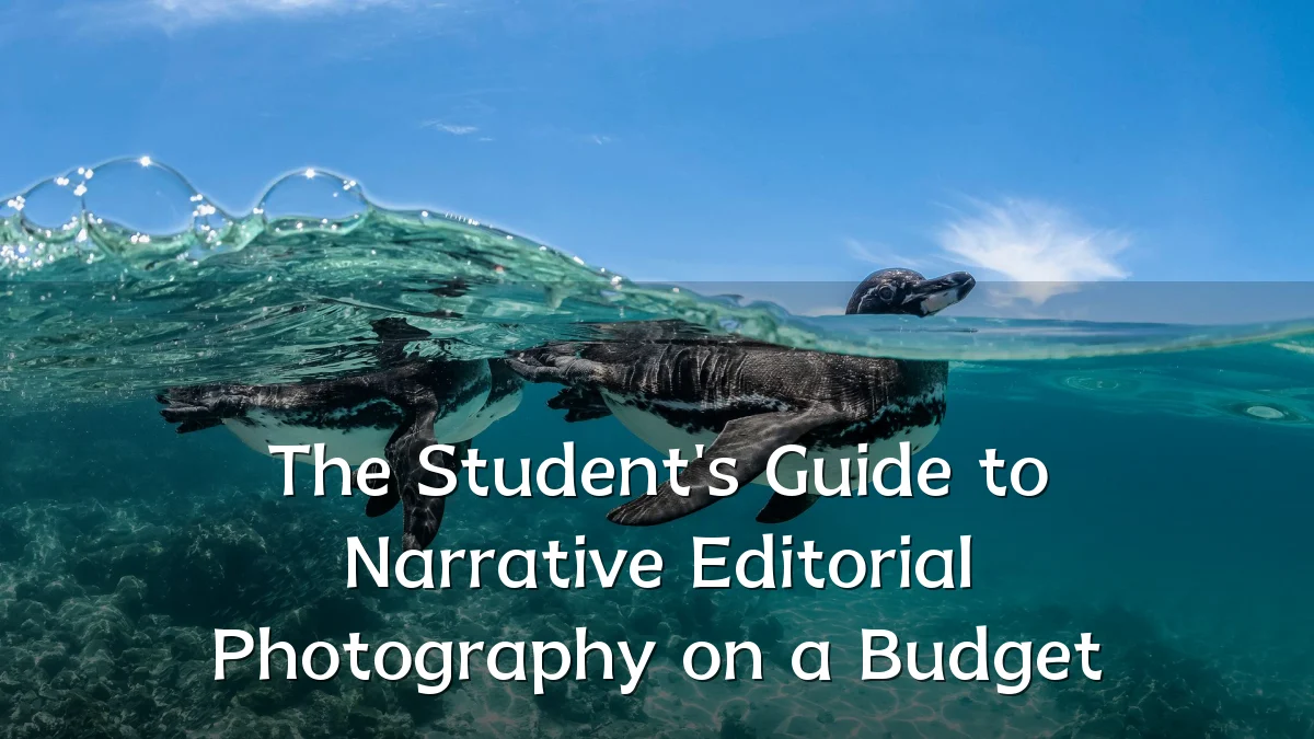 The Student's Guide to Narrative Editorial Photography on a Budget