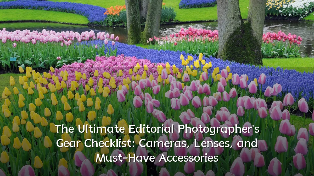 The Ultimate Editorial Photographer's Gear Checklist: Cameras, Lenses, and Must-Have Accessories