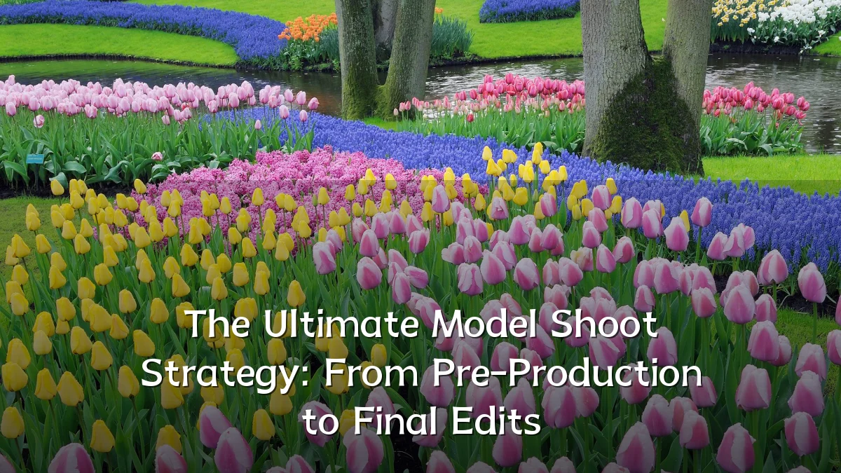 The Ultimate Model Shoot Strategy: From Pre-Production to Final Edits
